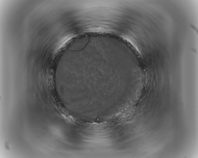 X0000096480968200802071916