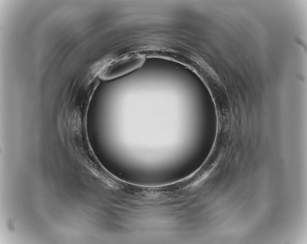 X0000096480969200802071916