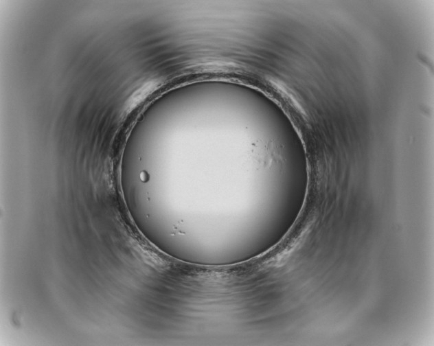 X0000096480970200802071916