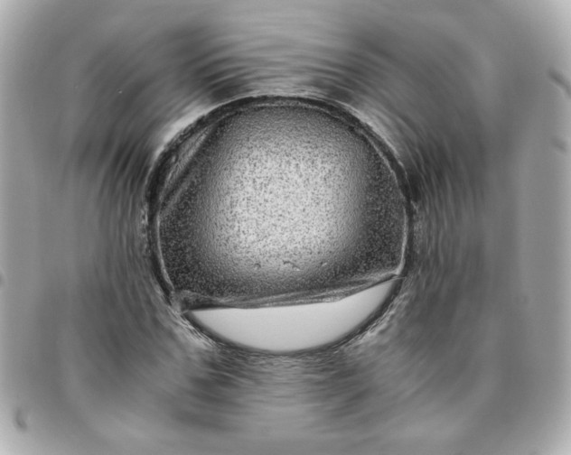 X0000096480971200802071916