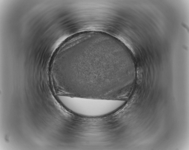 X0000096480972200802071916