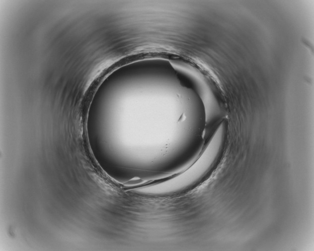 X0000096480973200802071916