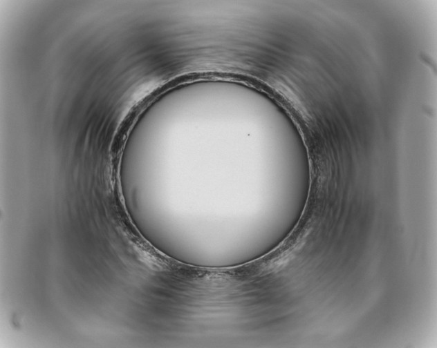 X0000096480974200802071916