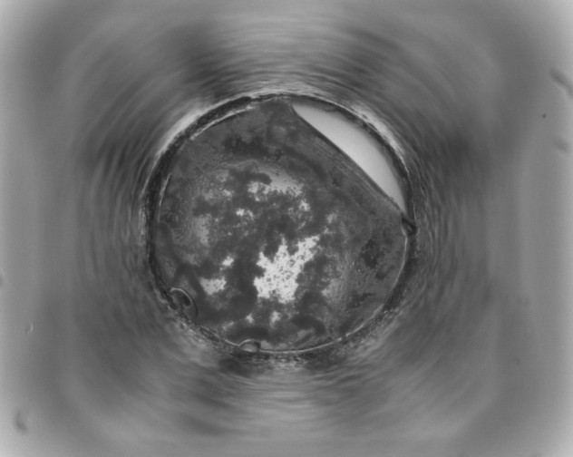 X0000096480975200802071916