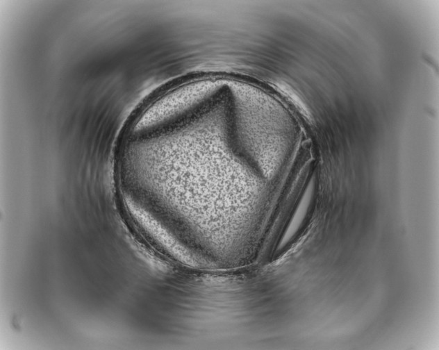 X0000096480976200802071916