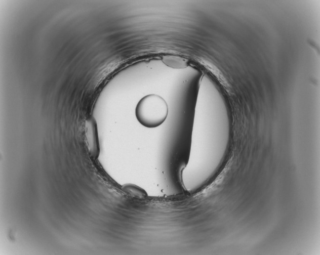 X0000096480977200802071916