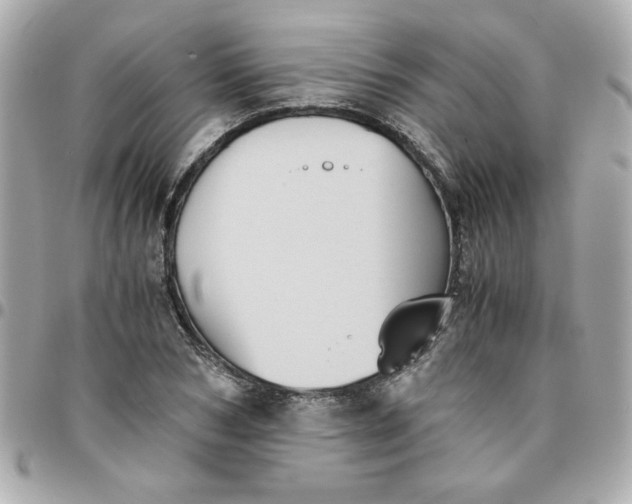 X0000096480978200802071916