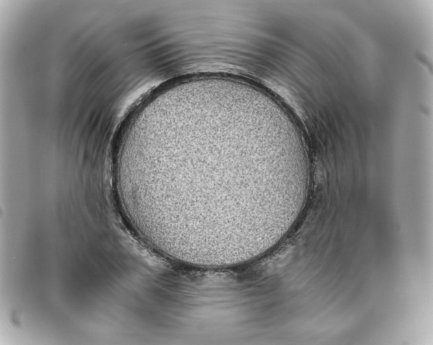 X0000096480979200802071916