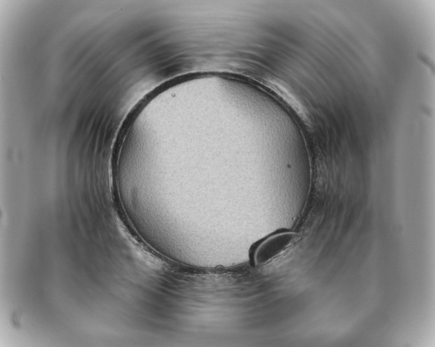 X0000096480980200802071916