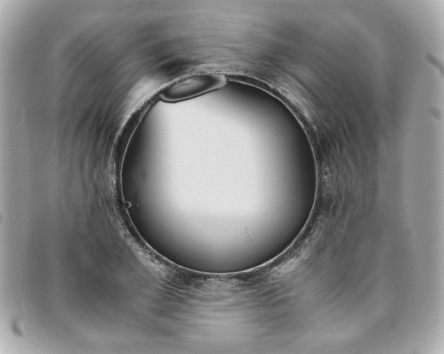 X0000096480981200802071916