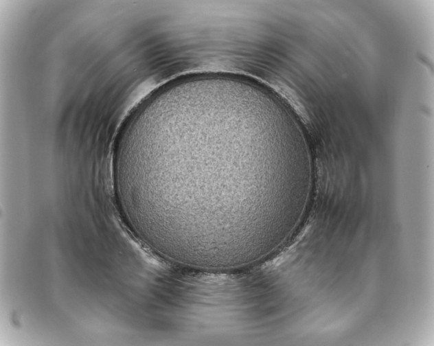 X0000096480982200802071916