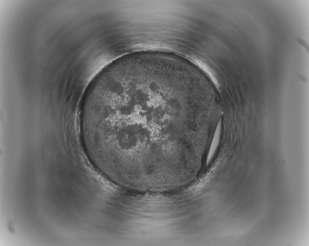 X0000096480983200802071916