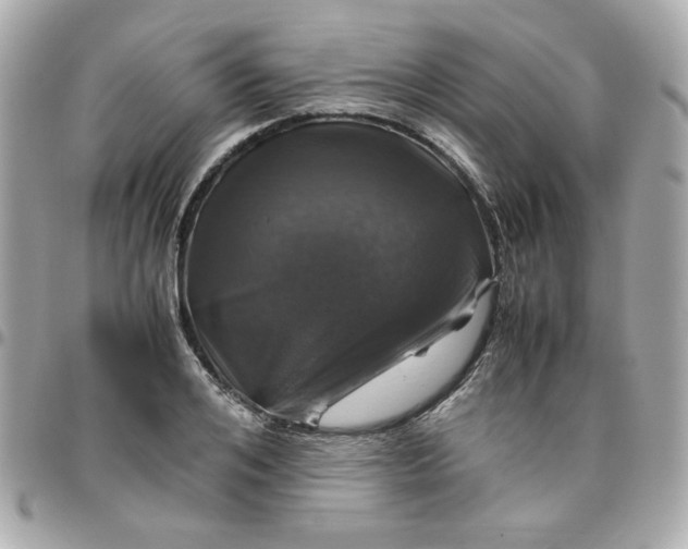 X0000096480984200802071916