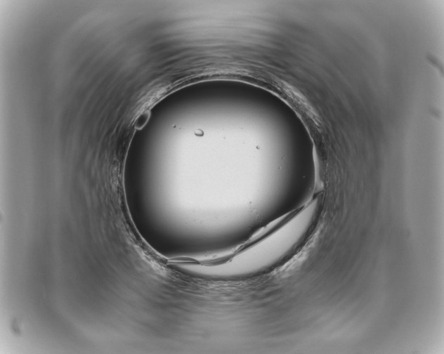 X0000096480985200802071916