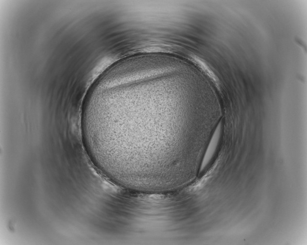 X0000096480986200802071915