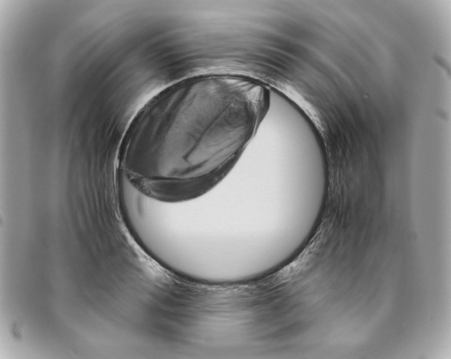 X0000096480988200802071915