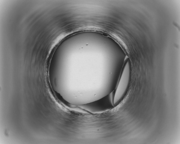 X0000096480989200802071915