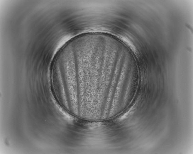 X0000096480990200802071915