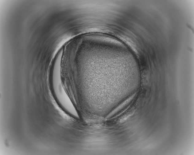 X0000096480991200802071915