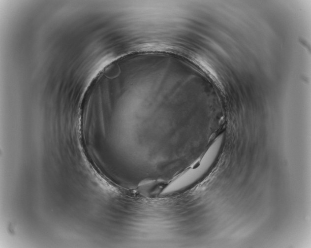 X0000096480992200802071915