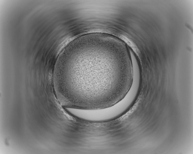 X0000096480993200802071915