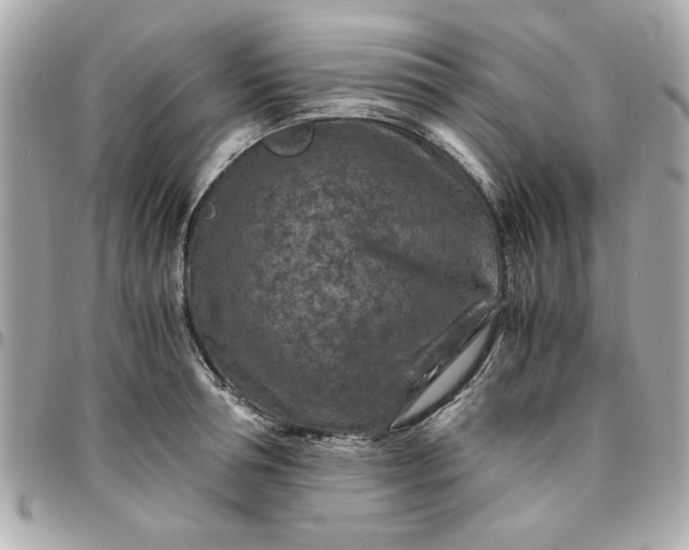 X0000096480994200802071915