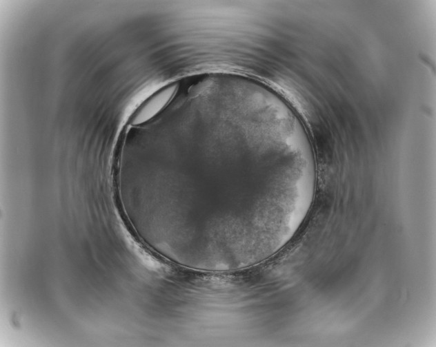 X0000096480995200802071915