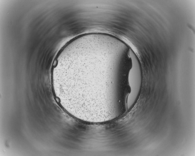 X0000096480996200802071915