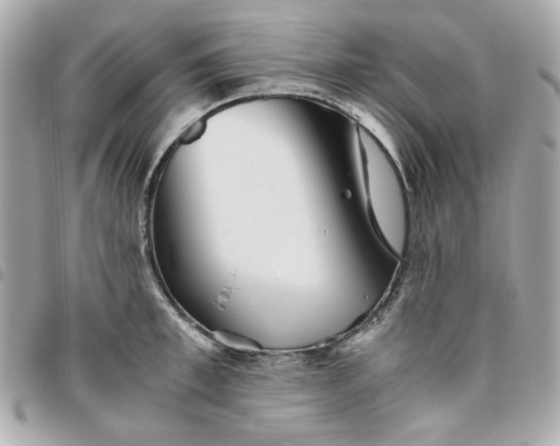 X0000096480997200802071915