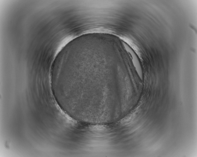 X0000096480998200802071915