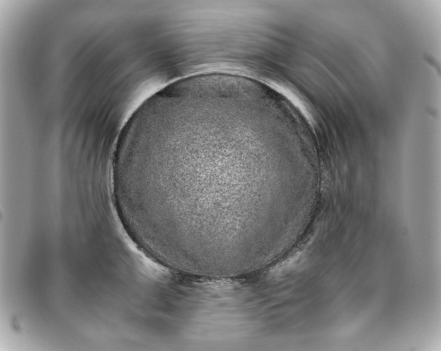 X0000096480999200802071915