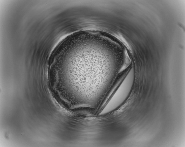 X0000096481000200802071915