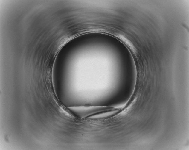 X0000096481001200802071915