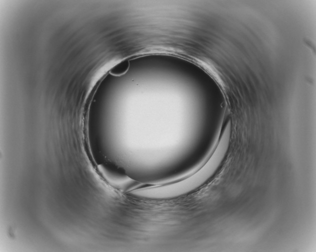 X0000096481003200802071915