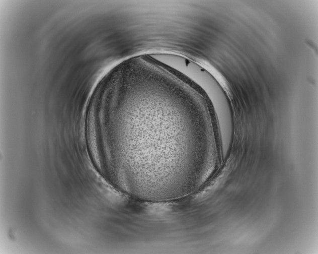 X0000096481004200802071915