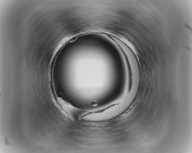 X0000096481005200802071915