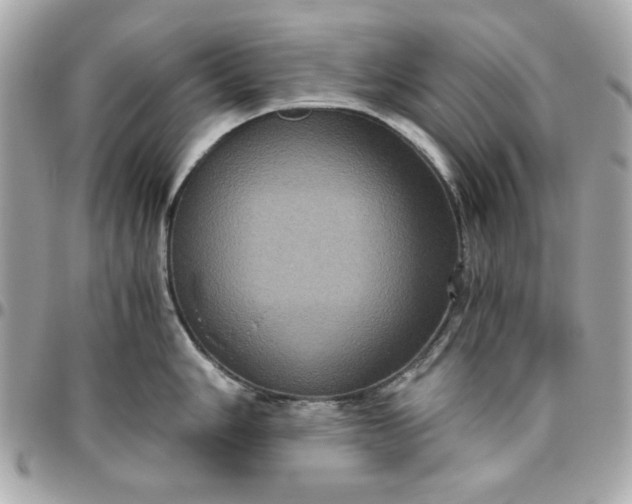 X0000096481006200802071915