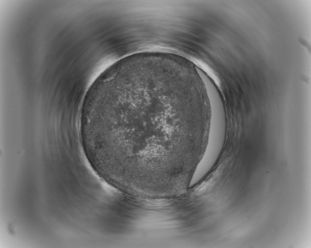 X0000096481007200802071915