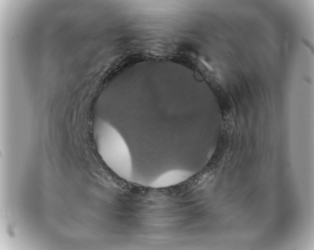 X0000096481009200802071914