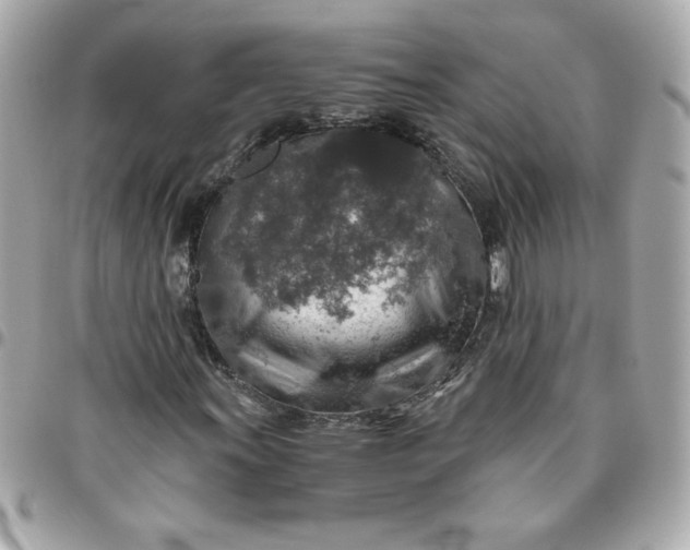 X0000096481011200802071914