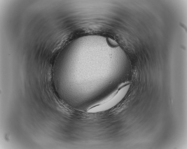 X0000096481012200802071914