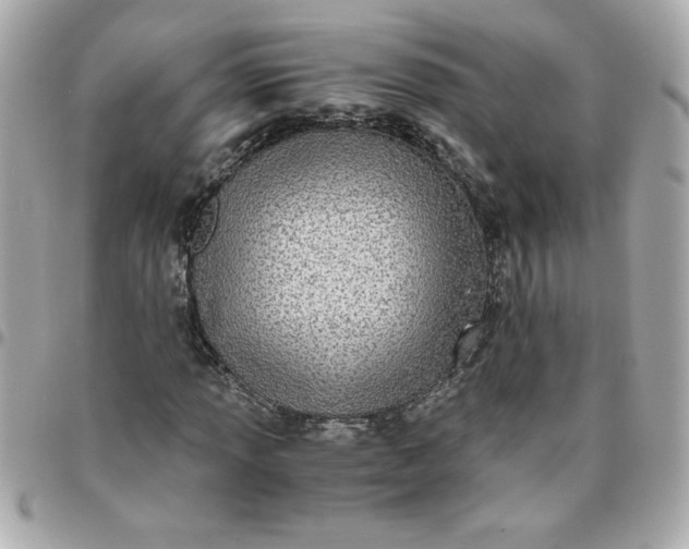 X0000096481013200802071914