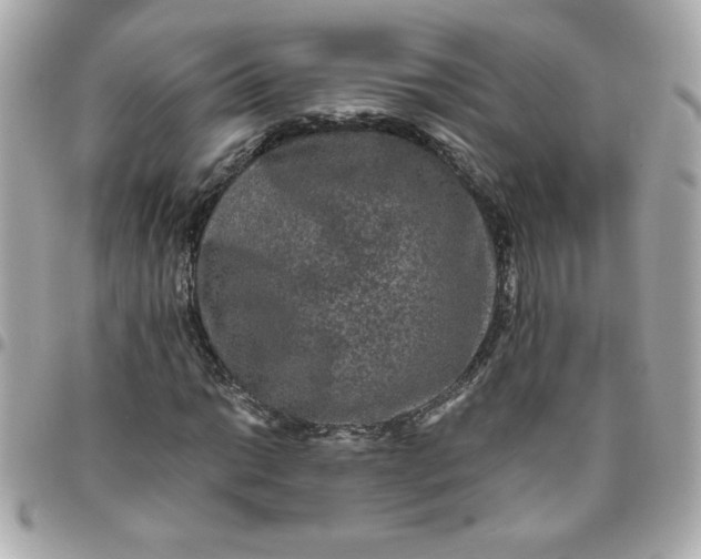 X0000096481014200802071914