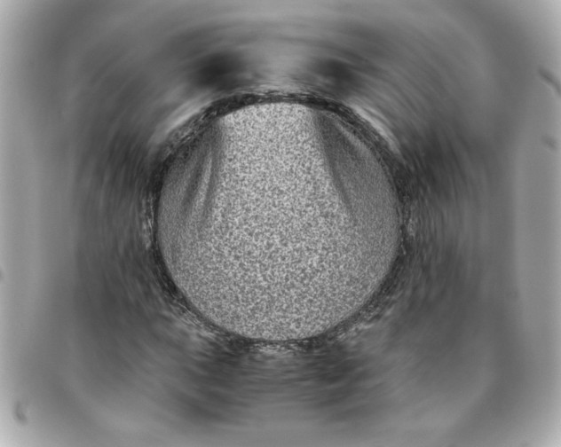 X0000096481015200802071914