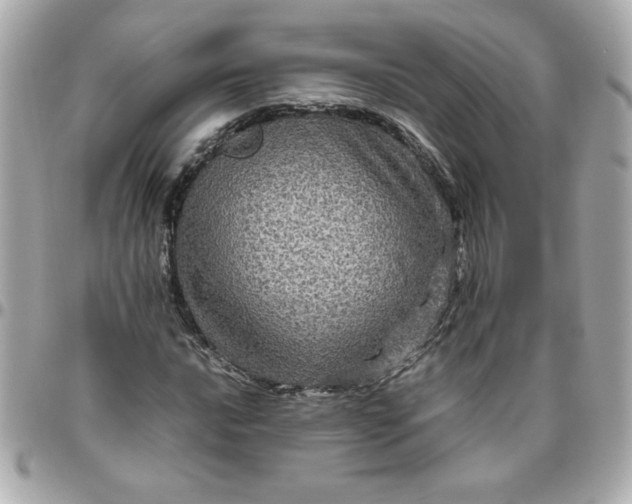 X0000096481016200802071914