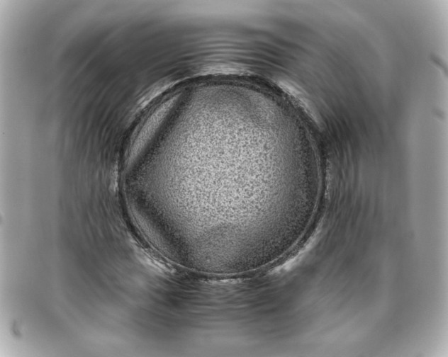 X0000096481017200802071914