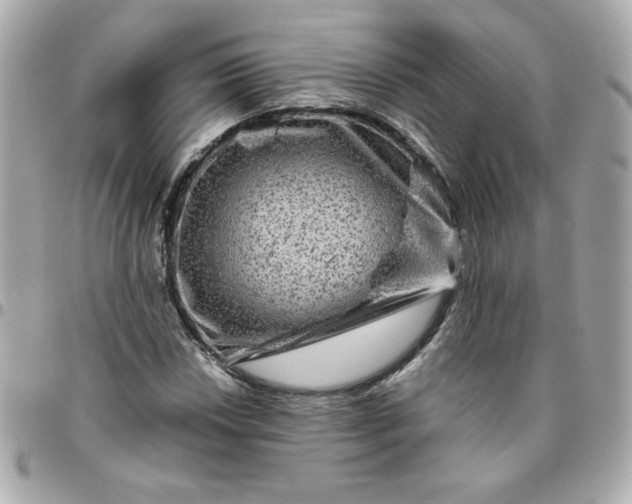 X0000096481018200802071914