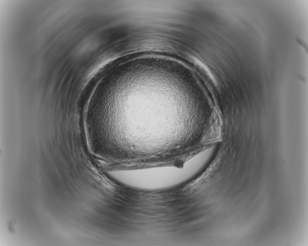 X0000096481019200802071915