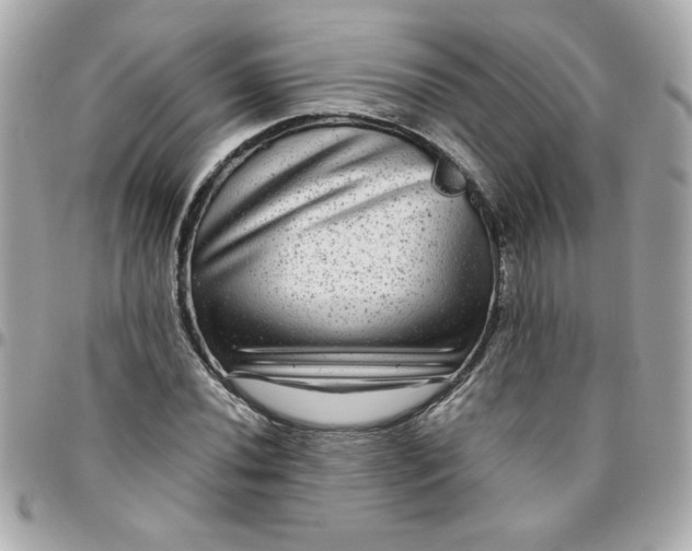 X0000096481020200802071915