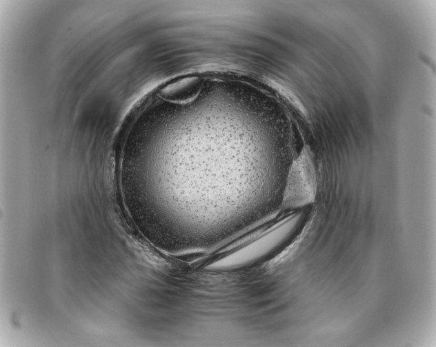 X0000096481021200802071915